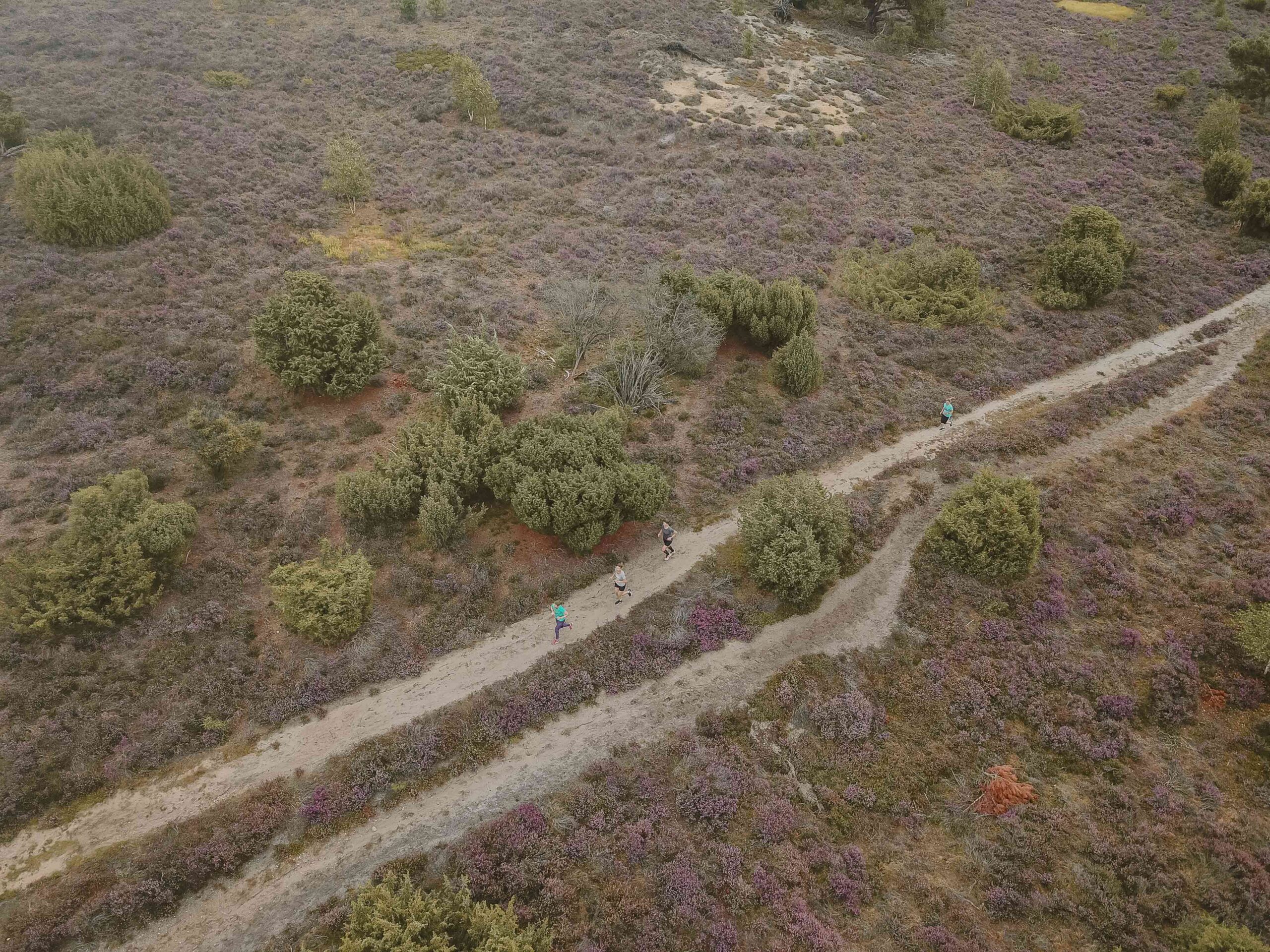 Bootcamp op de camping bij Lemeler Esch op de Lemelerberg tussen de heide