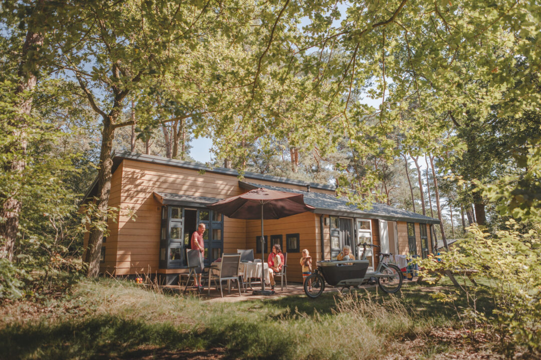 Bungalow in de zomer bij natuurcamping Lemeler Esch