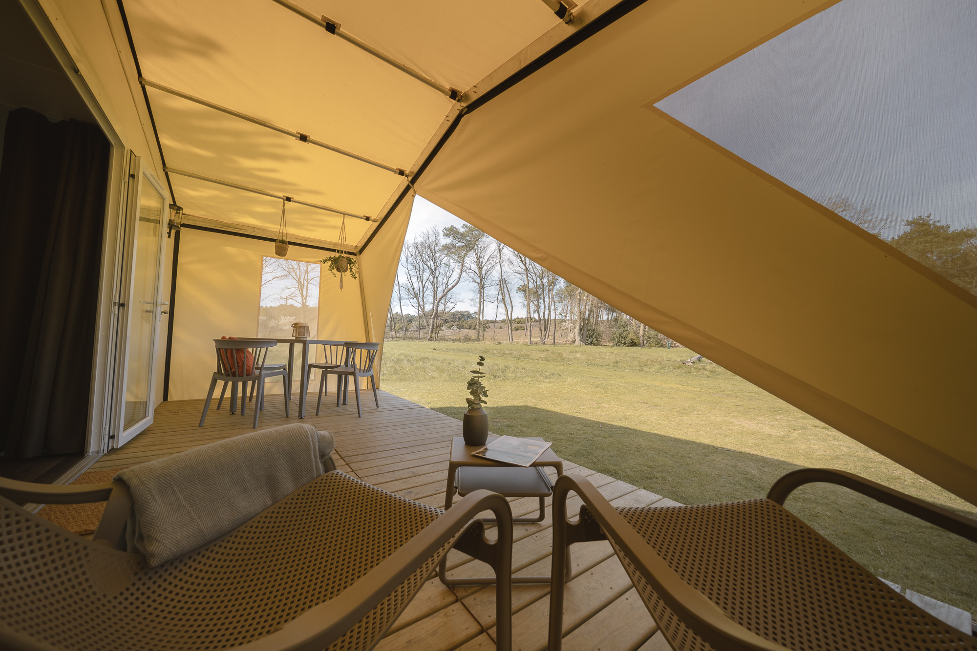 Glamping met zicht op de heide bij Lemeler Esch