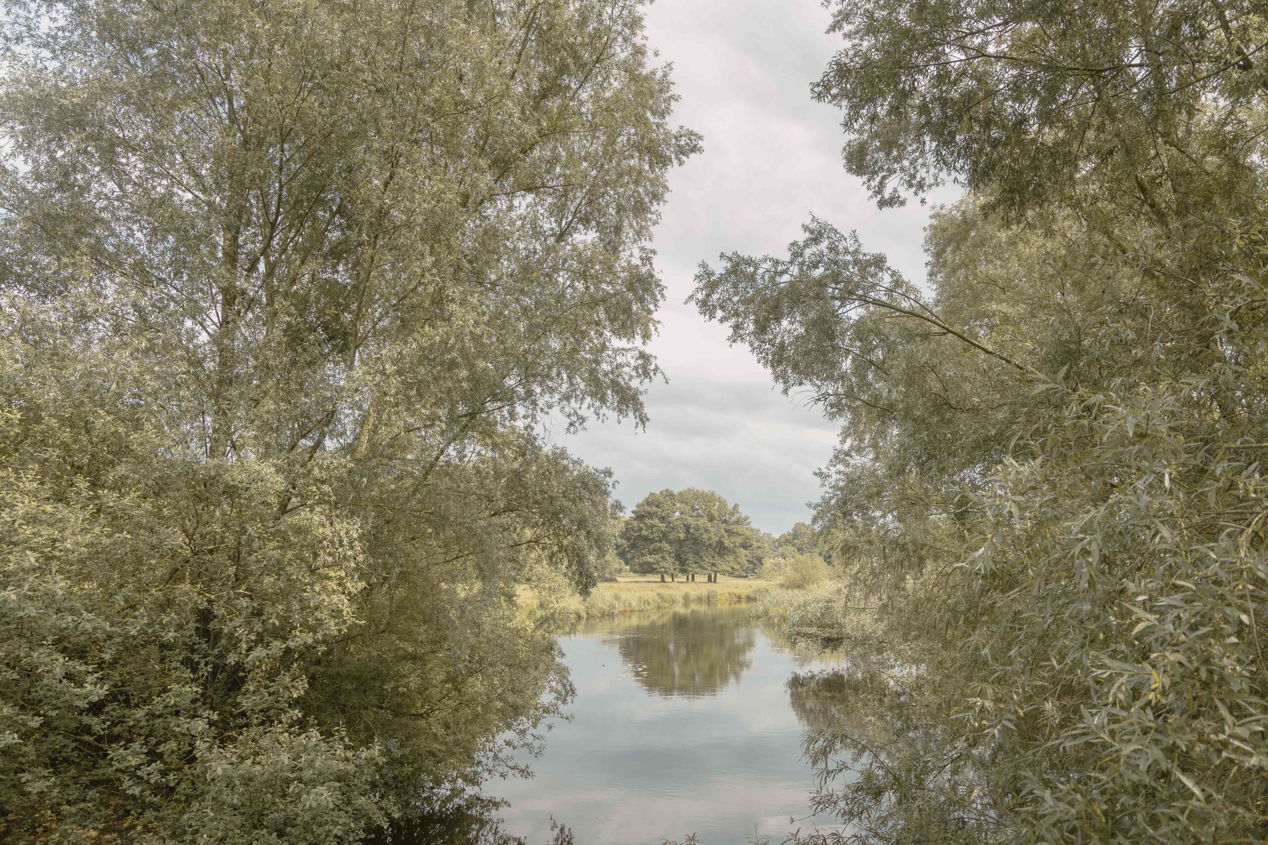 Landschap rivier de Regge in Hancate in de omgeving van Lemeler Esch natuurcamping