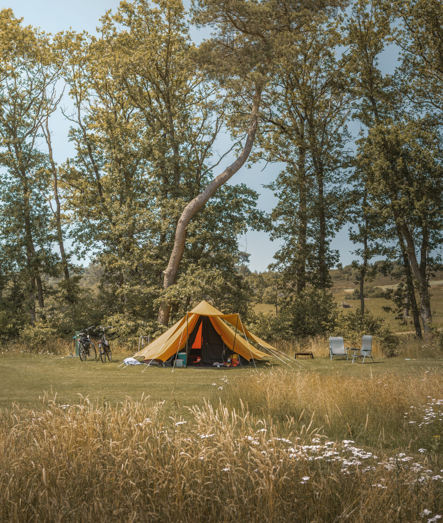 Kamperen met zicht op de heide bij natuurcamping Lemeler Esch