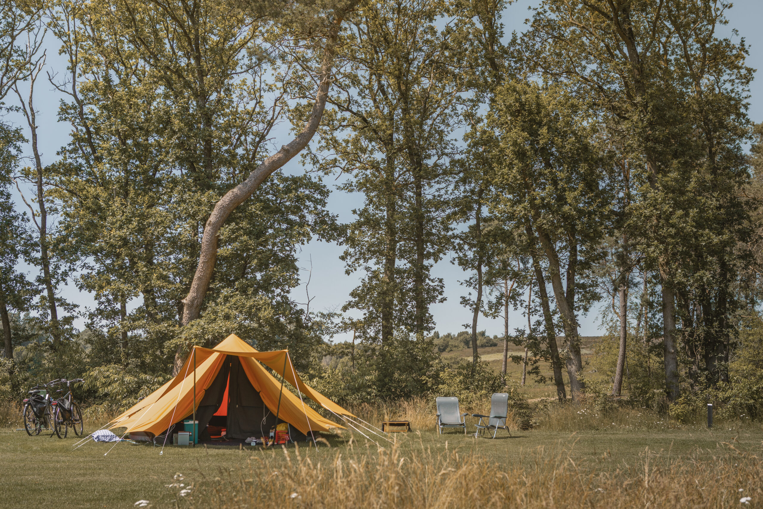 Kamperen met zicht op de heide bij natuurcamping Lemeler Esch