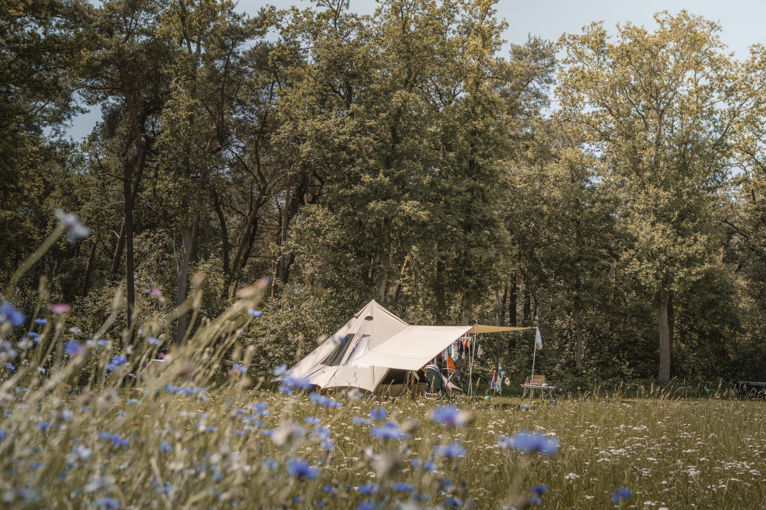 Kamperen op de Akker bij natuurcamping Lemeler Esch