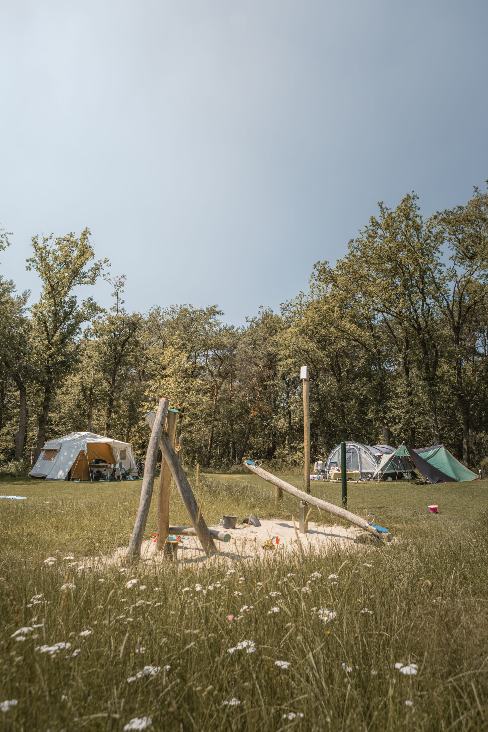 Kamperen op de Akker bij natuurcamping Lemeler Esch