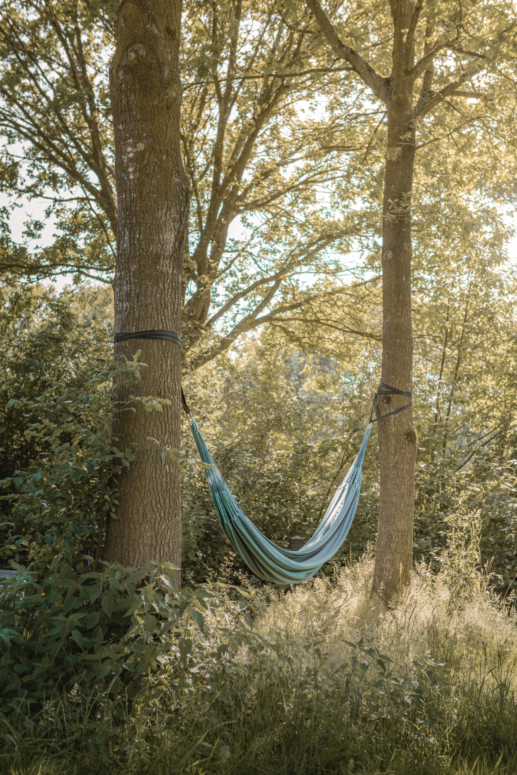 Hangmat op de Bloemenweide bij natuurcamping Lemeler Esch