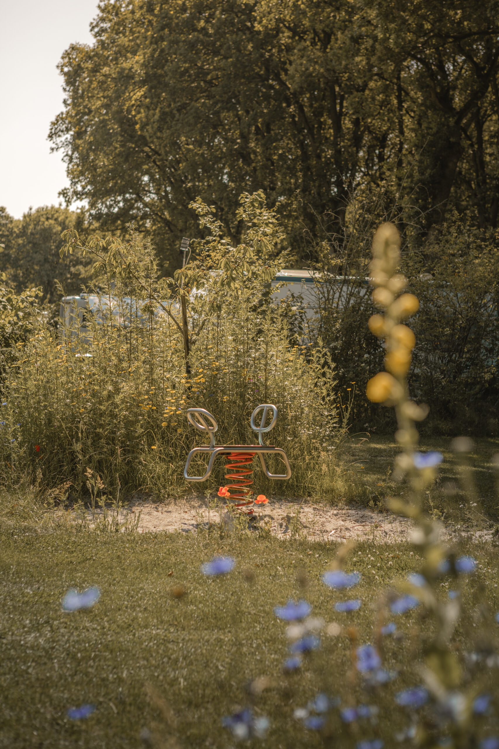 Kamperen op de Boomgaard bij natuurcamping Lemeler Esch
