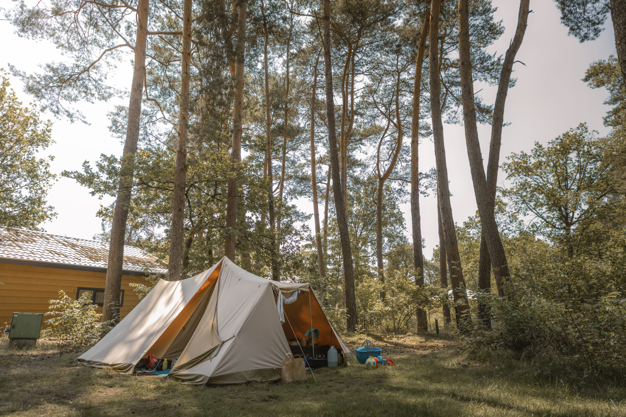 Kamperen op de bosplaats bij natuurcamping Lemeler Esch