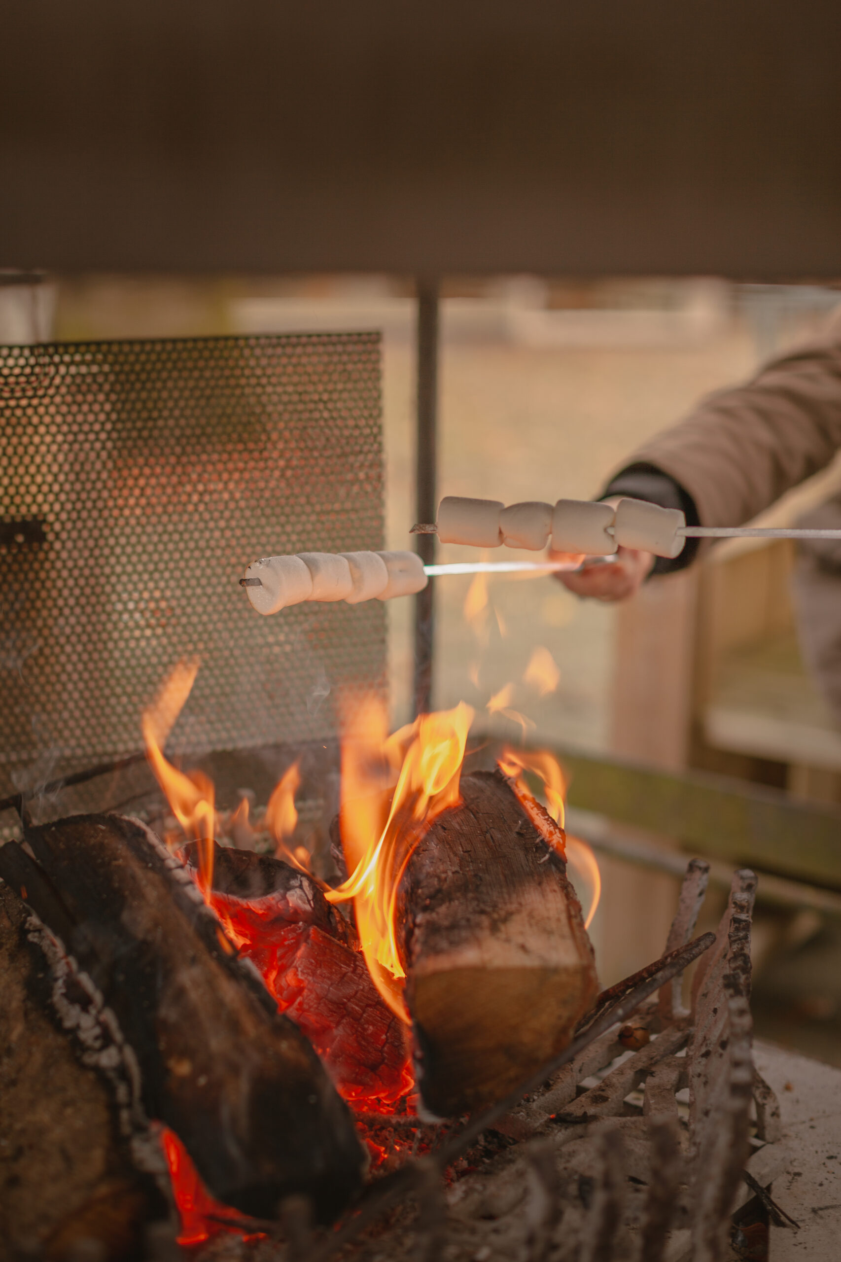 Marshmallows roosteren bij het Boscafé Lemeler Esch
