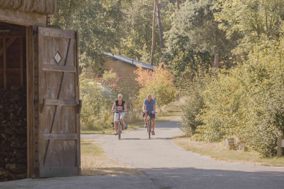 Senioren op de fiets op natuurcamping Lemeler Esch in Overijssel