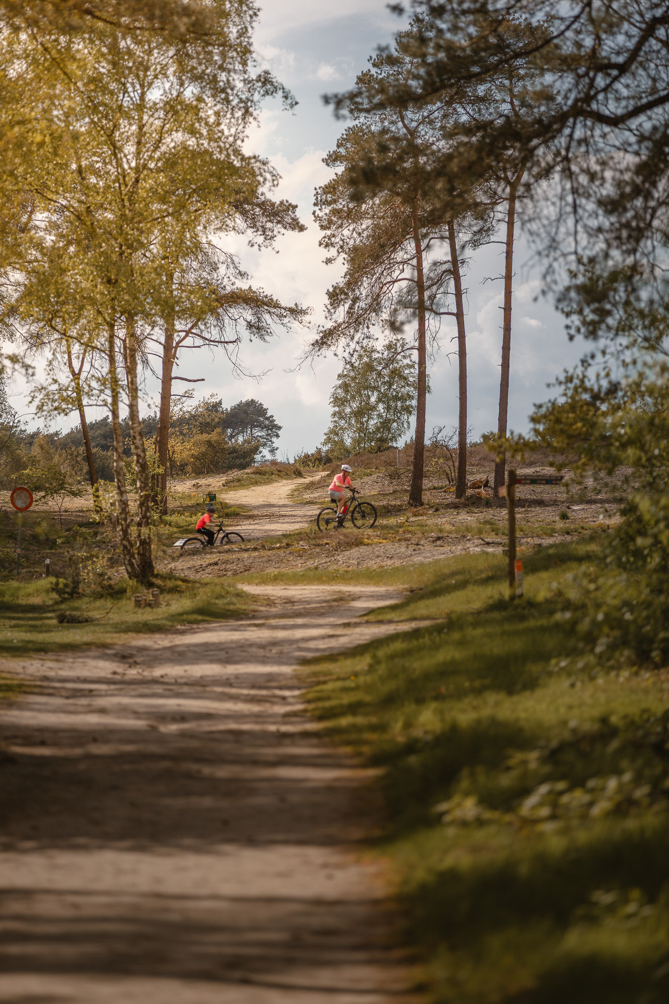 Mountainbikers over de Lemelerberg bij natuurcamping Lemeler Esch