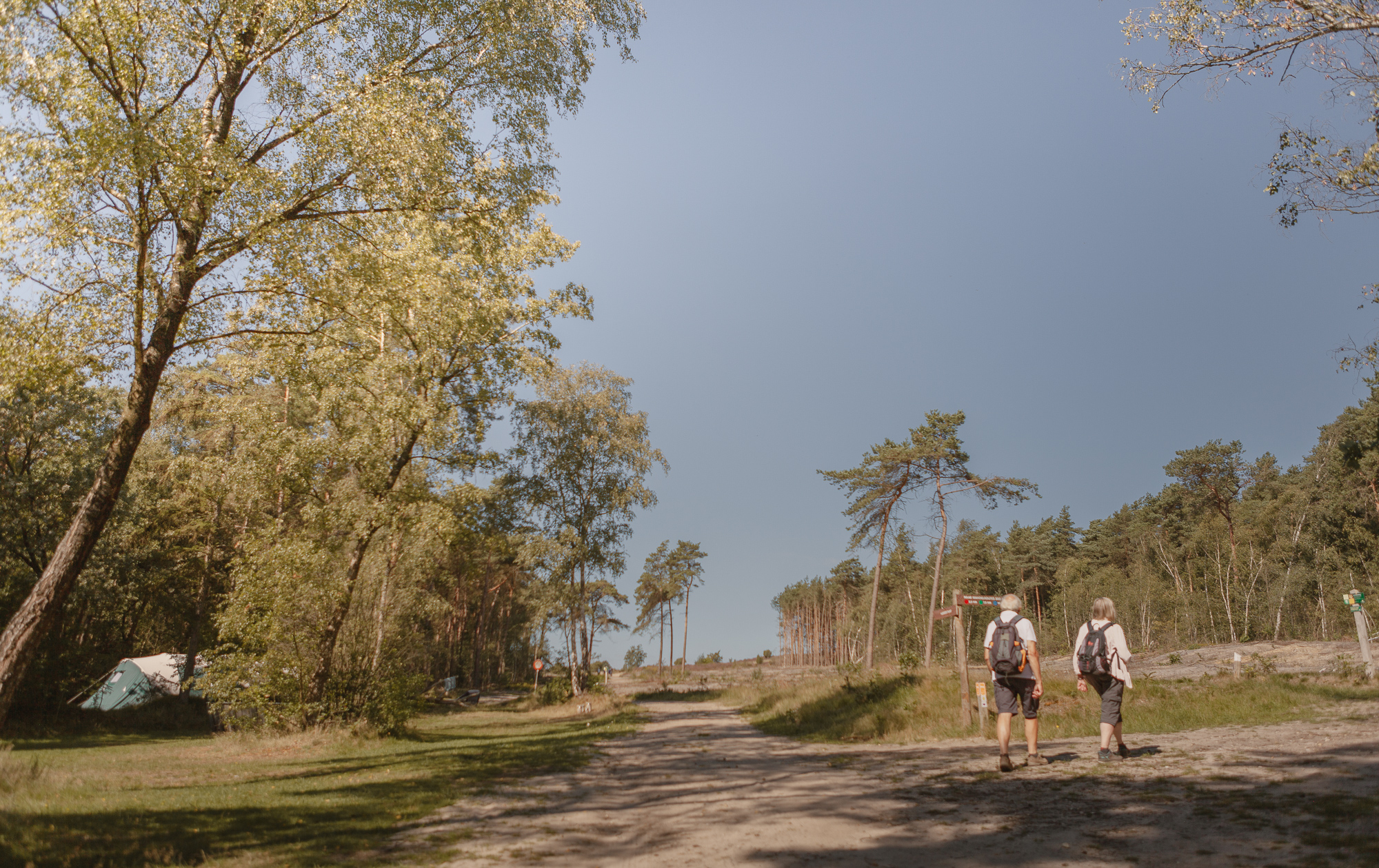 Wandelaars bij Lemeler Esch natuurcamping als startpunt wandelroutes Lemelerberg