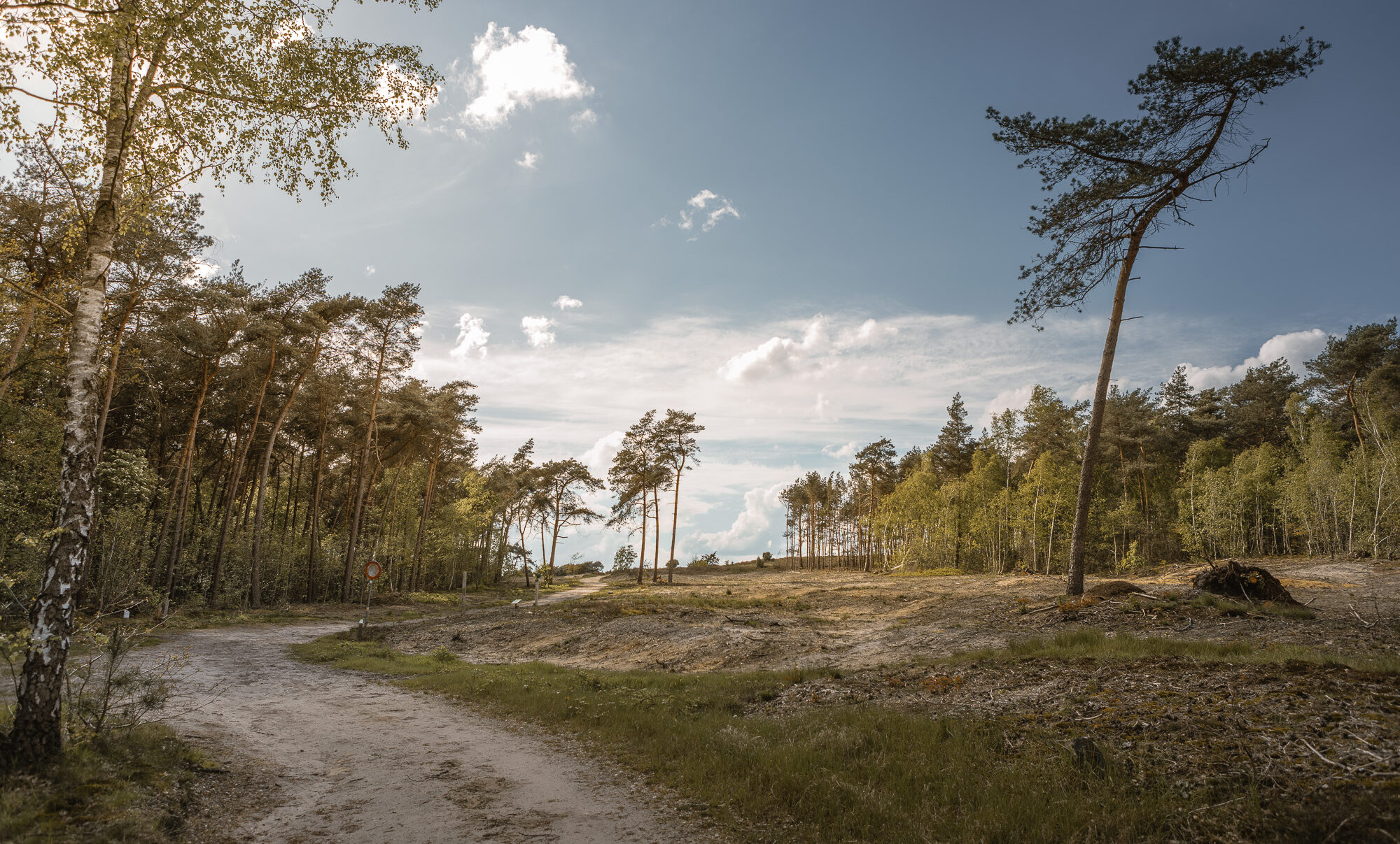 Uitzicht Archemerberg vanaf Lemeler Esch natuurcamping in Overijssel