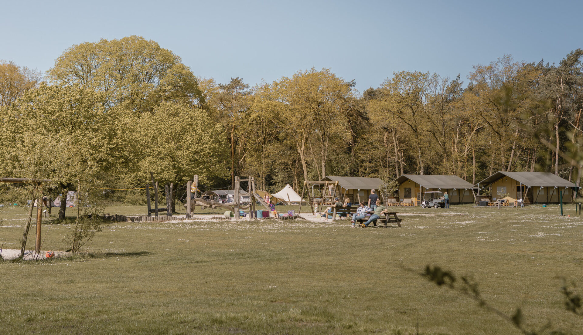 Ligging van de Lodgetent op kampeerveld Akker bij Lemeler Esch natuurcamping