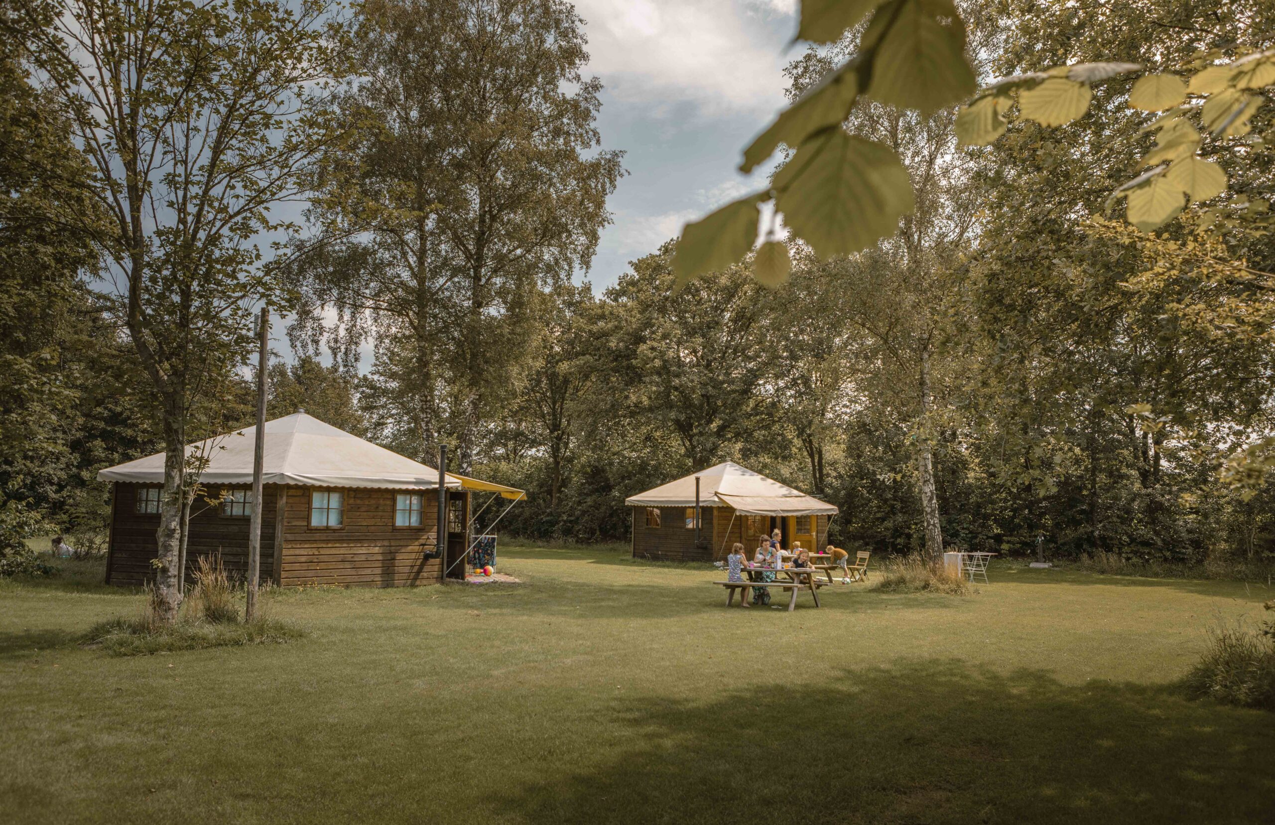 Boslodges op kampeerveld Boomgaard bij Lemeler Esch natuurcamping in Overijssel