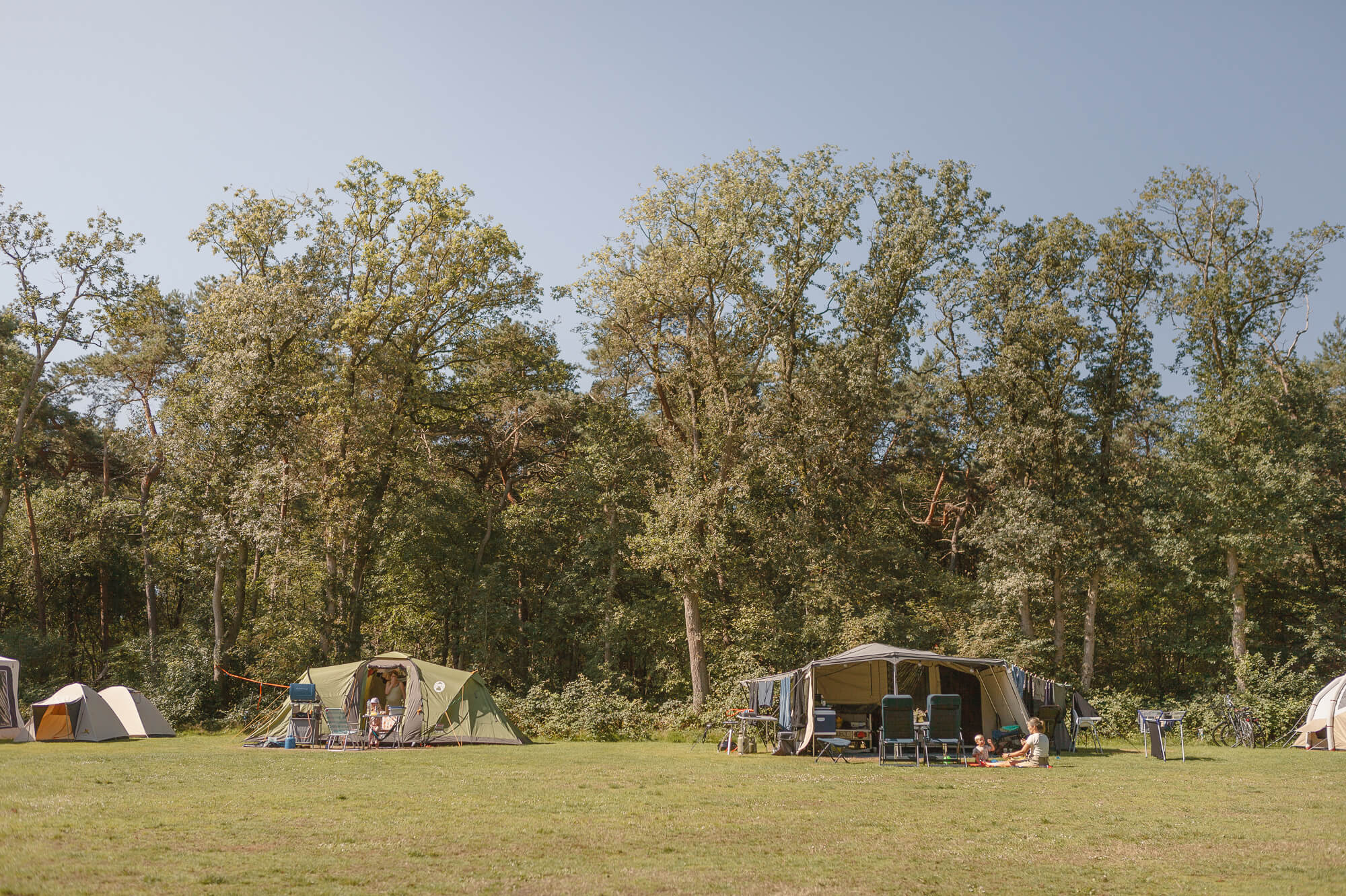 Tenten op kampeerveld Akker bij Lemeler Esch met speciale plekken voor tenten en vouwwagens