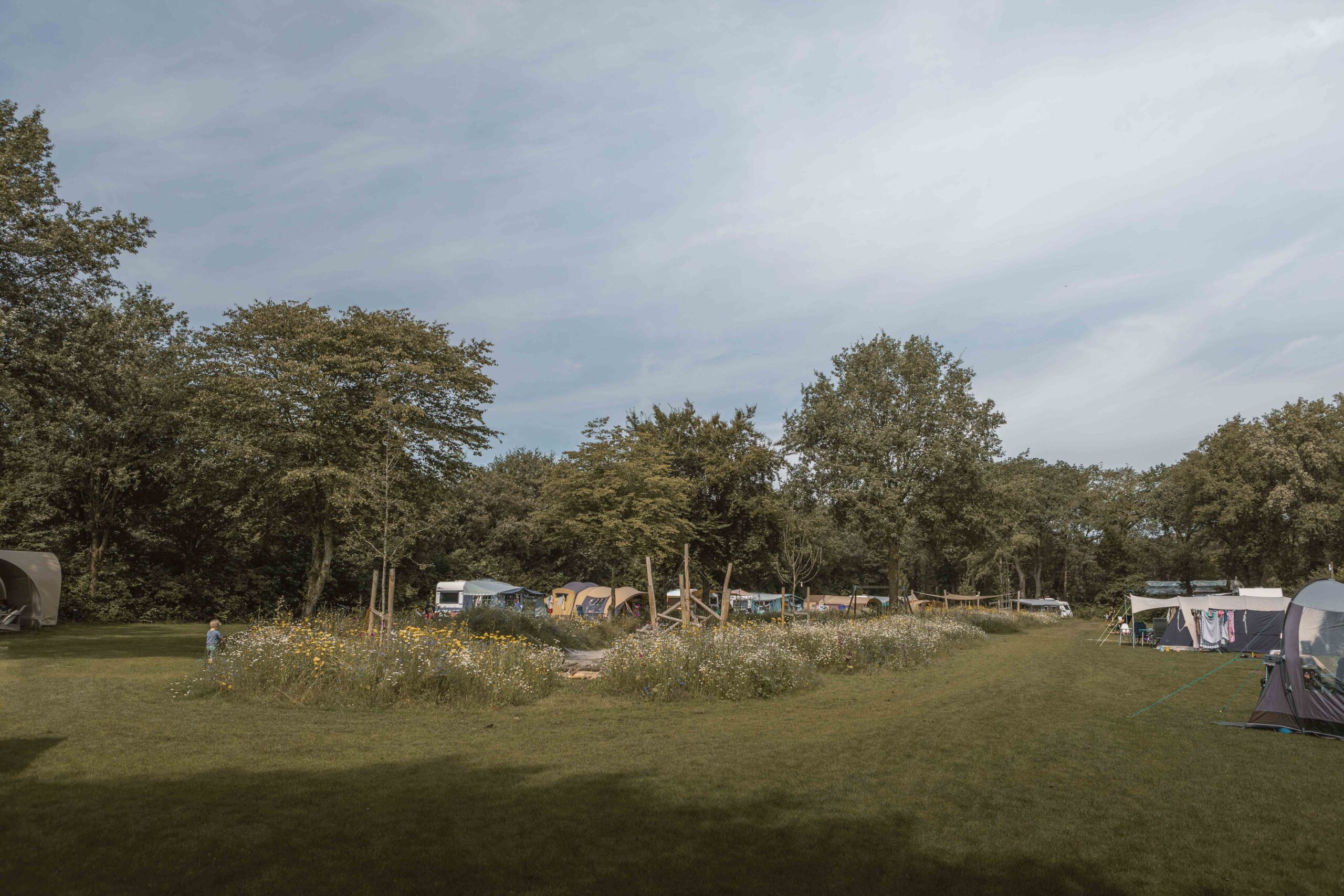Kamperen tussen de bloemen op kampeerveld Bloemenweide van Lemeler Esch natuurcamping