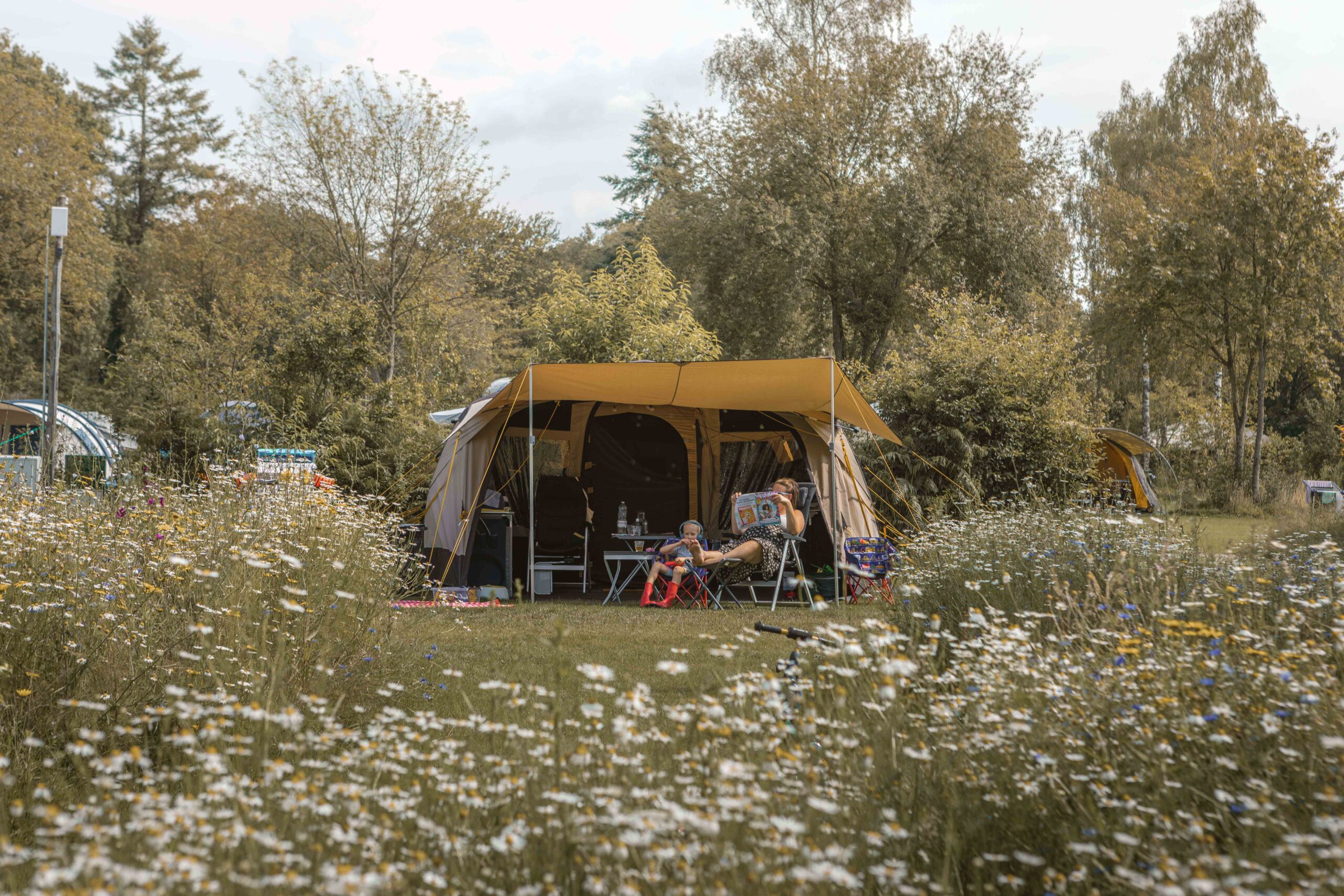 Kamperen tussen de bloemen op kampeerveld Bloemenweide van Lemeler Esch natuurcamping