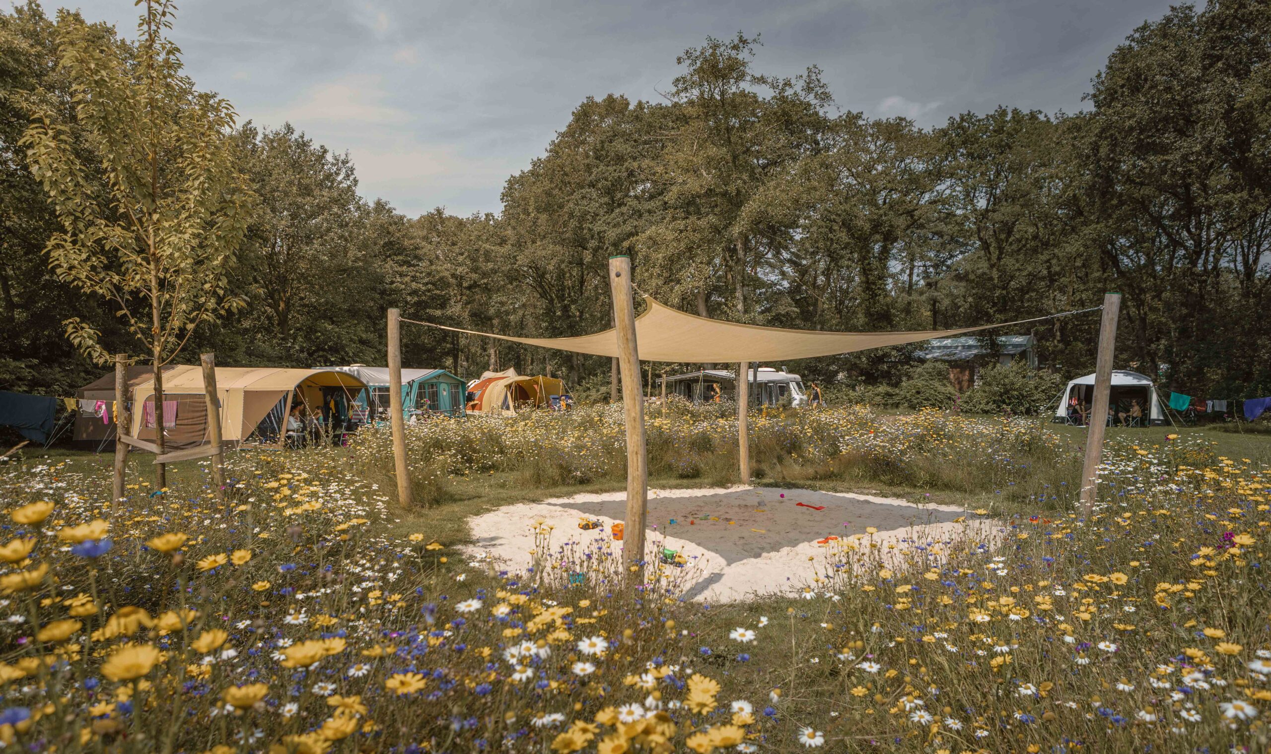 Speelzand op kampeerveld Bloemenweide van Lemeler Esch natuurcamping