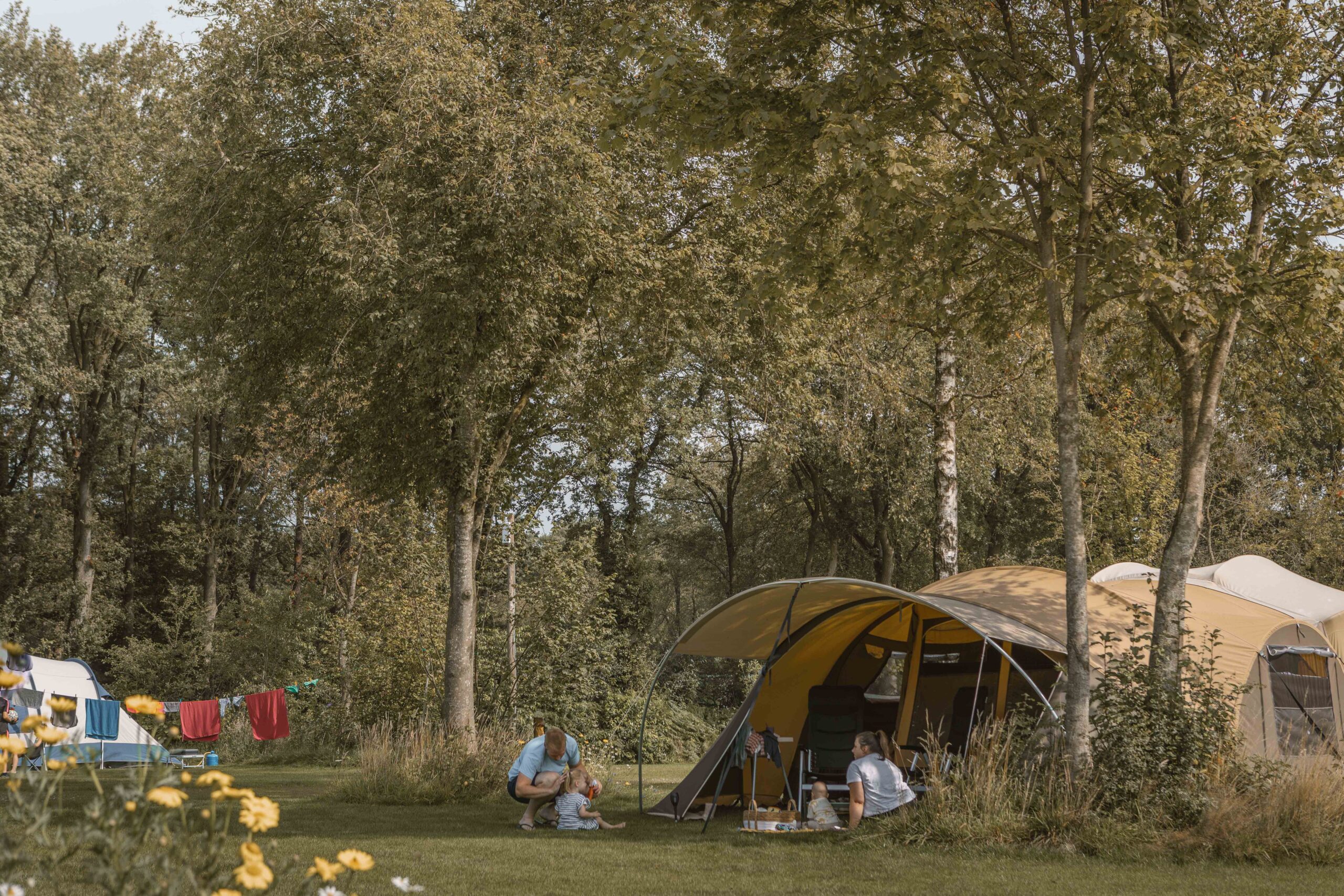 Jong gezin bij tent op kampeerveld Boomgaard bij Lemeler Esch natuurcamping