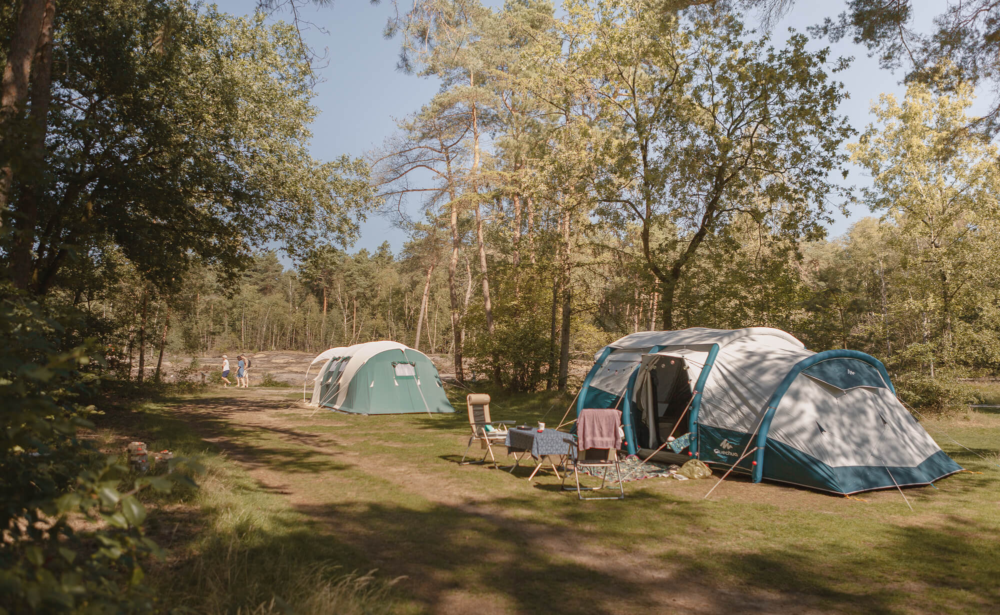 Kamperen aan de bosrand op de bosplaatsen bij Lemeler Esch natuurcamping
