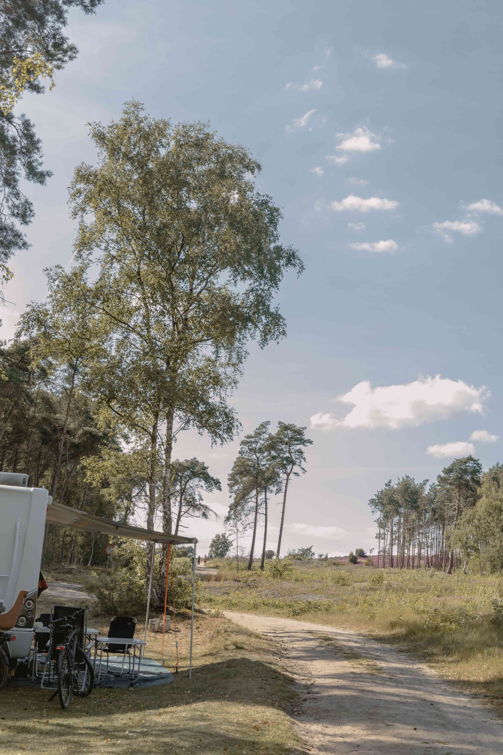 Kamperen bij de heide op de bosplaatsen bij Lemeler Esch natuurcamping
