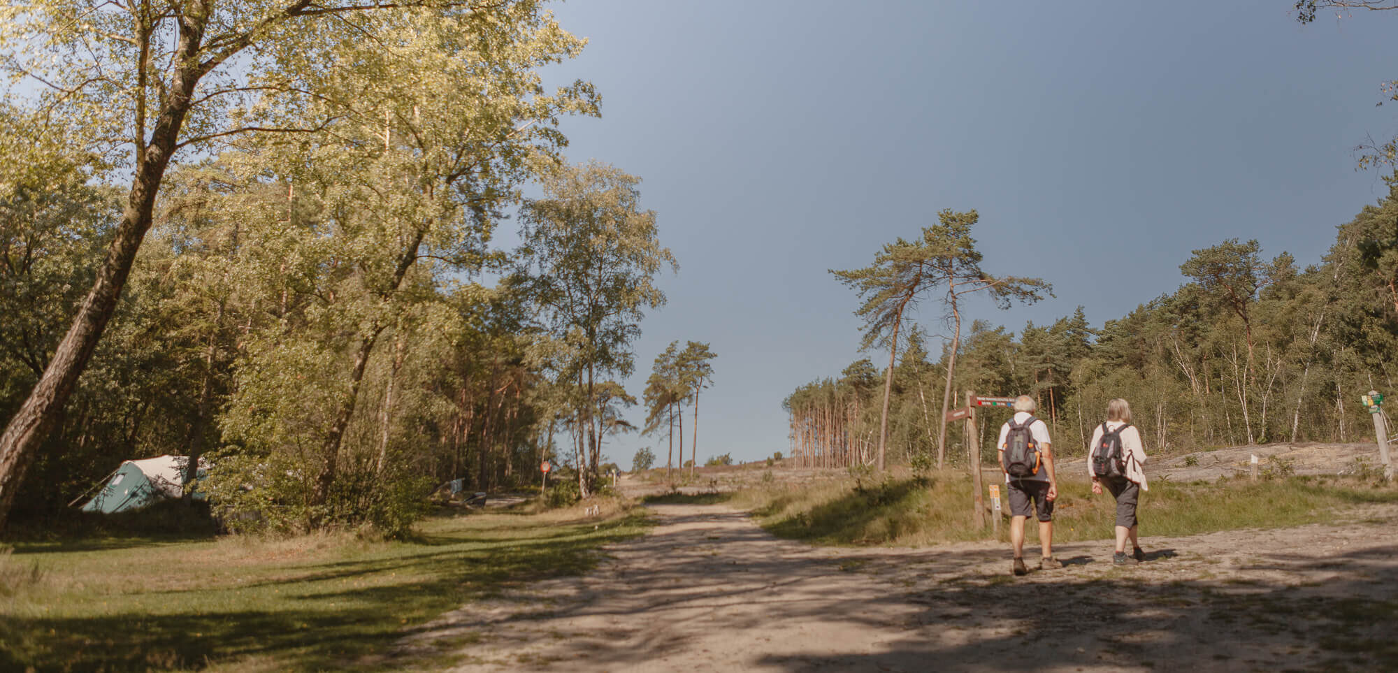 Wandelaars bij de bosplaatsen bij Lemeler Esch natuurcamping