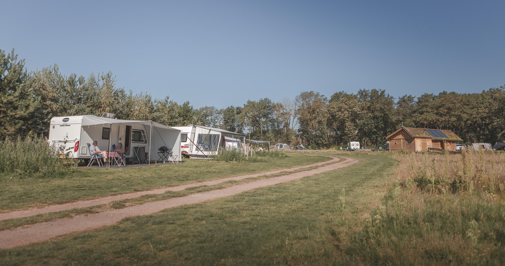 Kamperen op kampeerveld Heidezicht bij Lemeler Esch natuurcamping