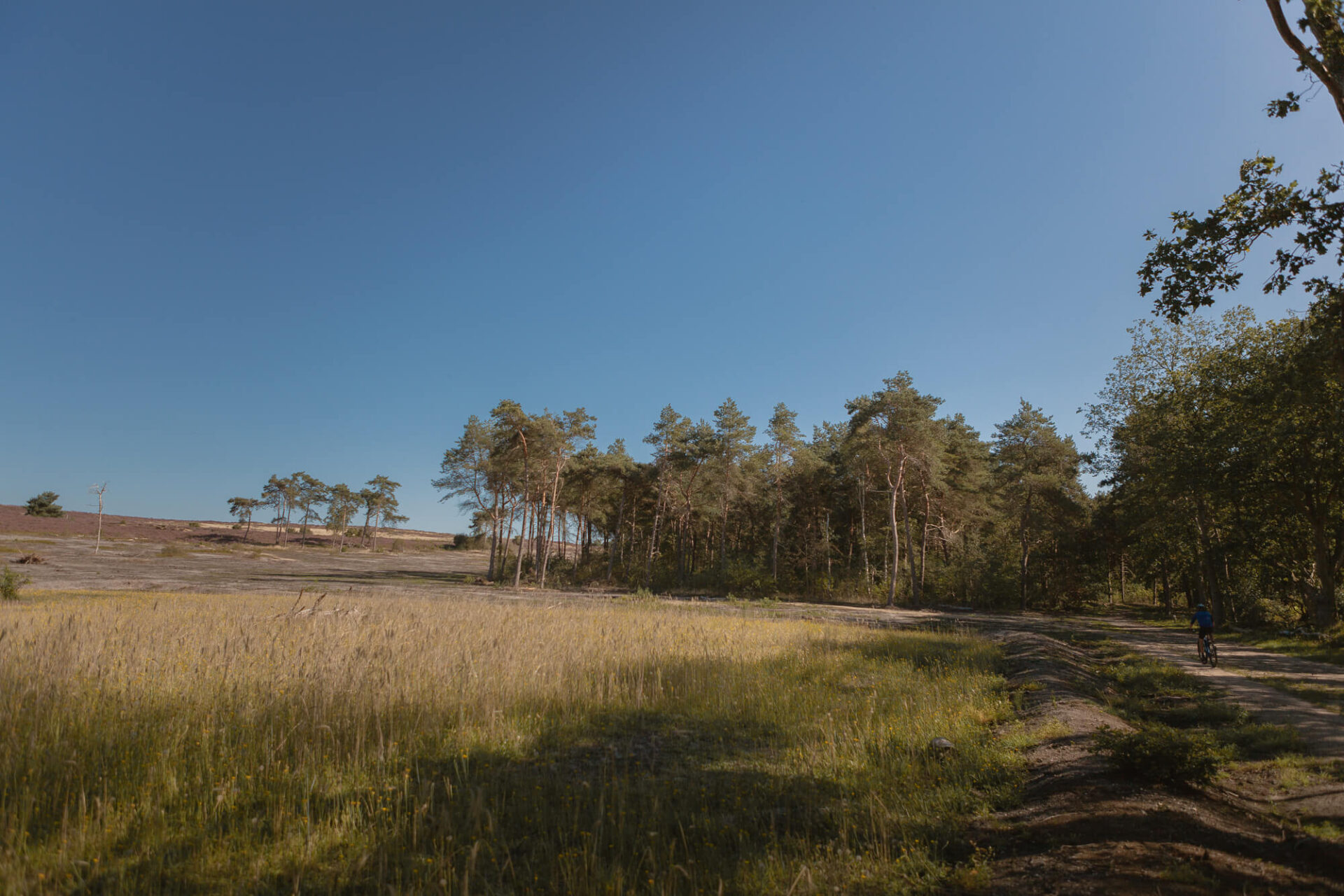 Uitzicht natuurgebied Lemelerberg vanaf kampeerveld Heidezicht bij Lemeler Esch natuurcamping