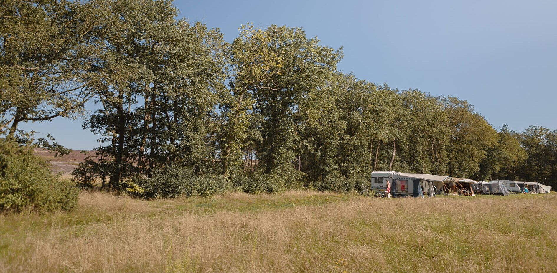 Uitzicht natuurgebied Lemelerberg vanaf kampeerveld Heidezicht bij Lemeler Esch natuurcamping