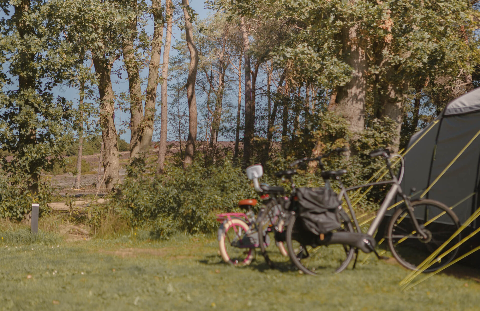 Uitzicht natuurgebied Lemelerberg vanaf kampeerveld Heidezicht bij Lemeler Esch natuurcamping