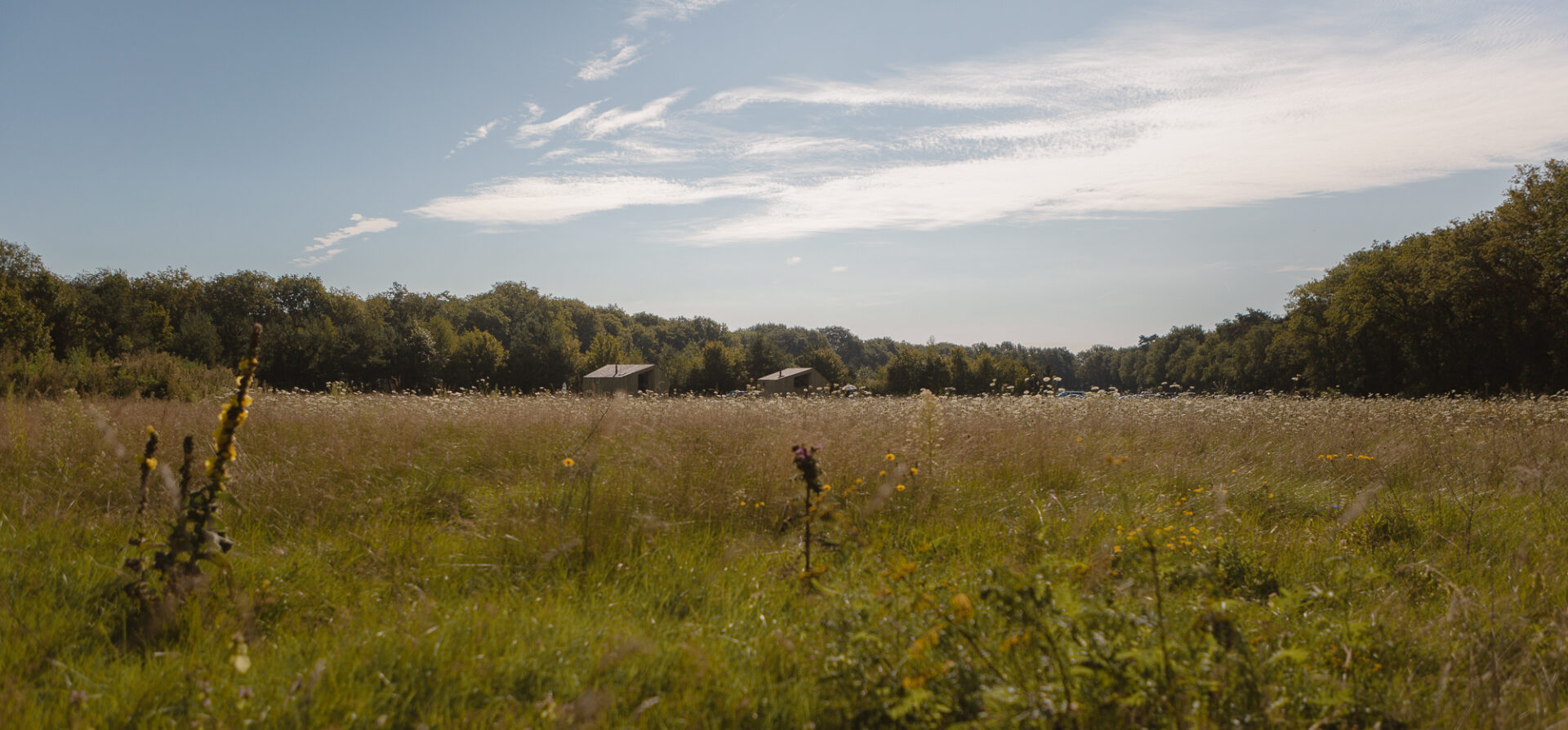 Ligging Trek-in natuurhuisje bij Lemeler Esch natuurcamping