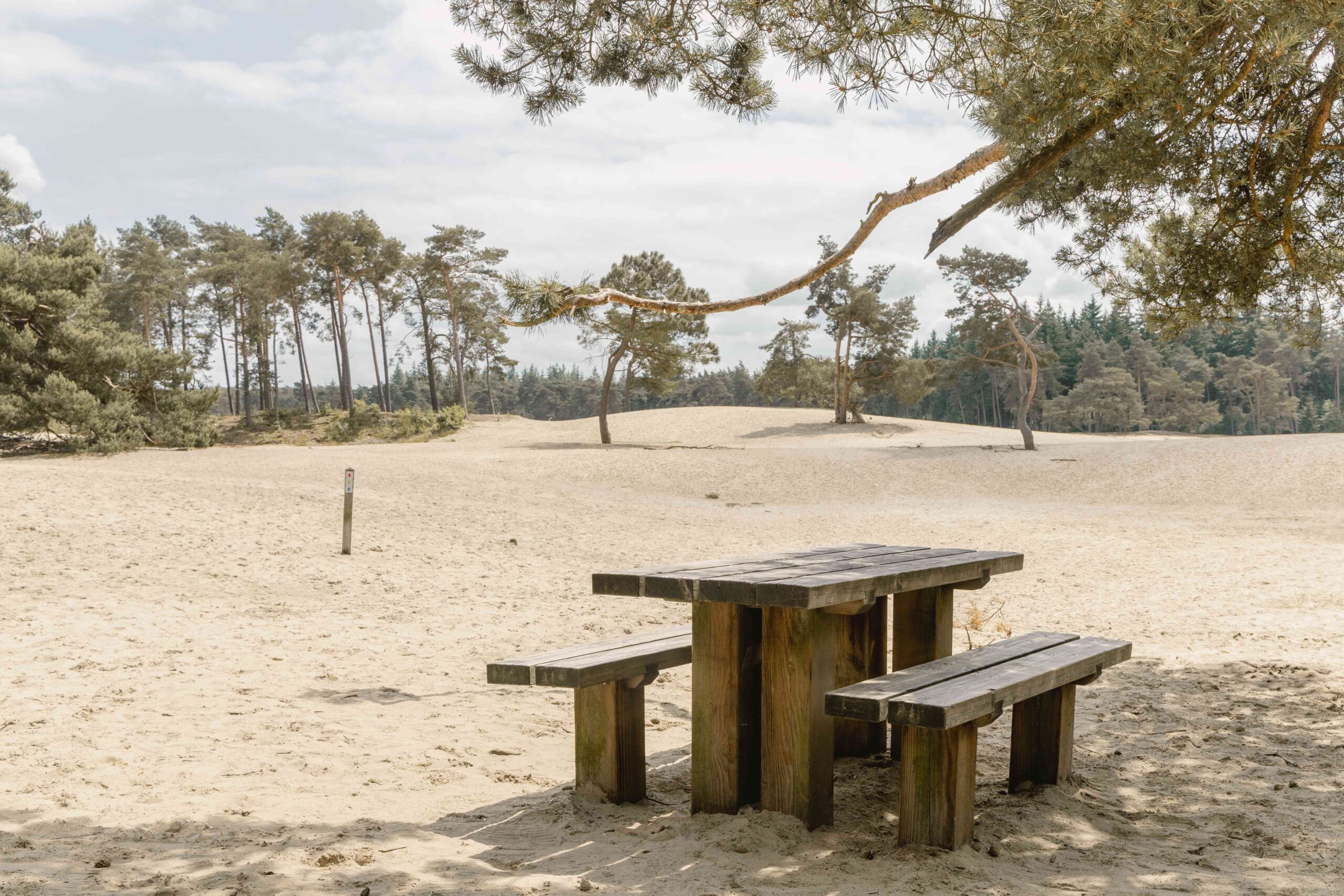 Bankje bij de Sahara in Ommen in de omgeving van Lemeler Esch natuurcamping
