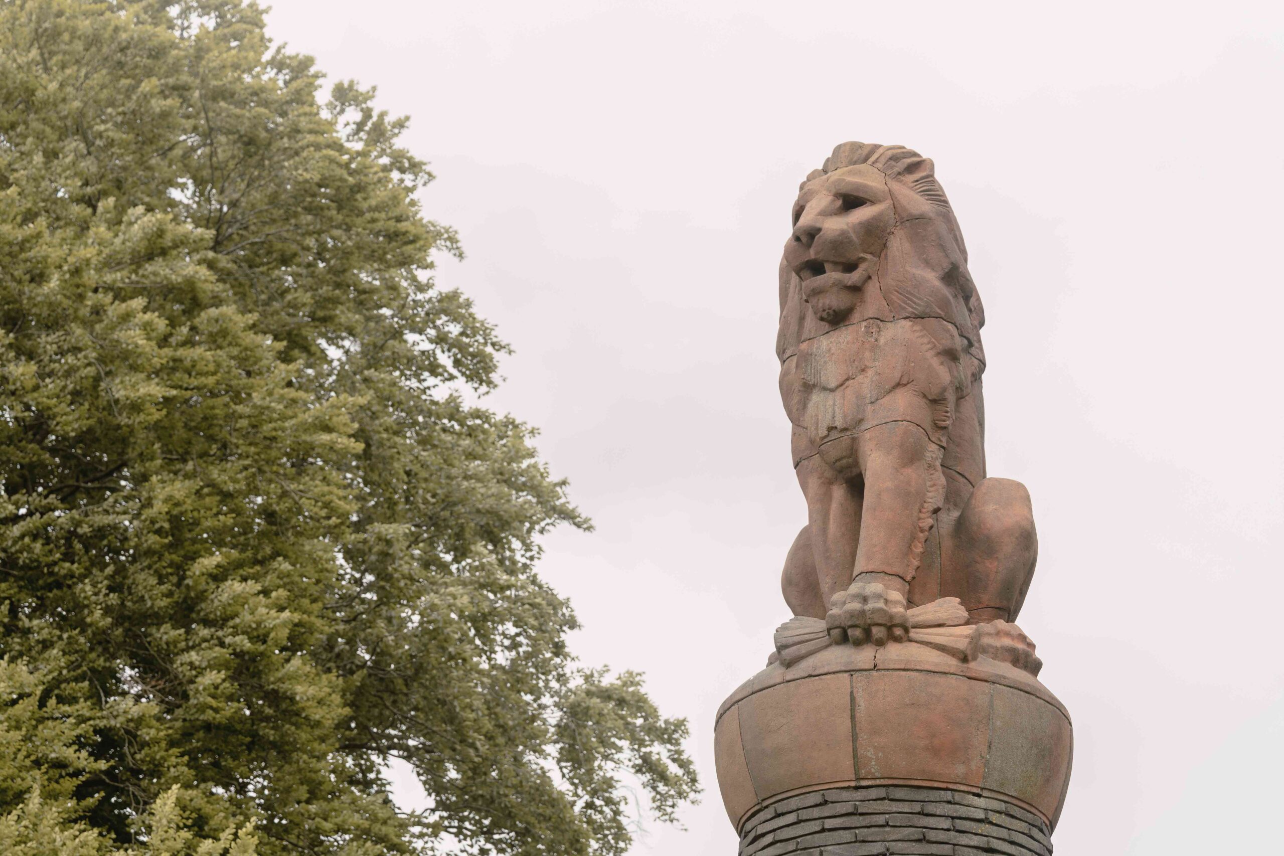 Standbeeld van een leeuw op de Lemelerberg in de omgeving van Lemeler Esch natuurcamping