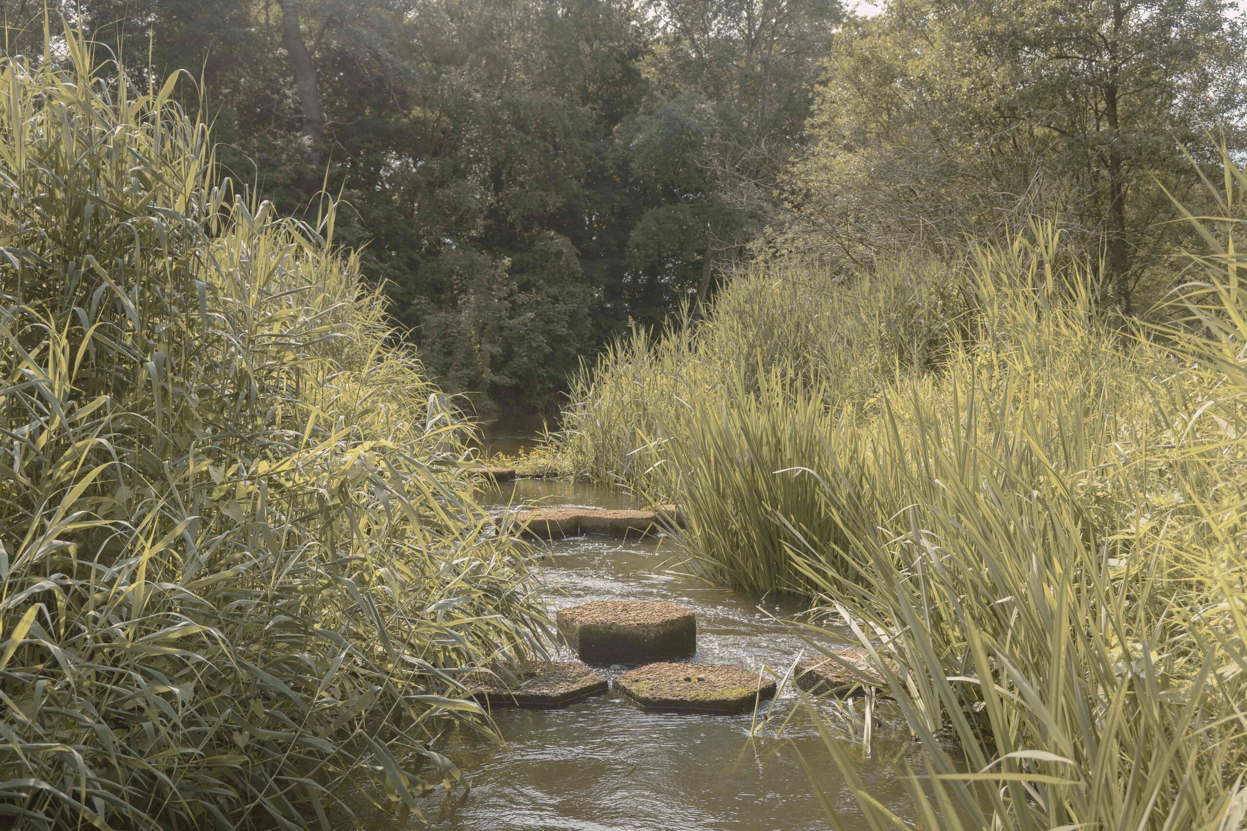De vistrap in Hancate in de omgeving van Lemeler Esch natuurcamping