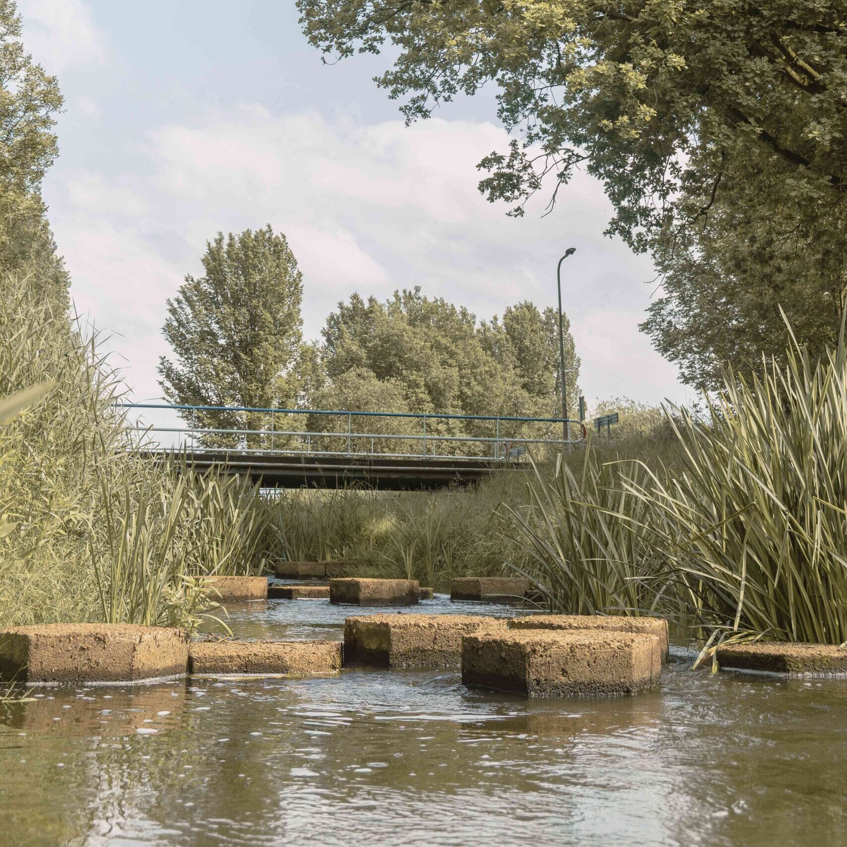De vistrap in Hancate in de omgeving van Lemeler Esch natuurcamping