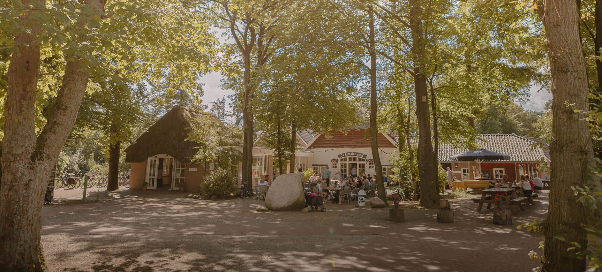 Het terras van Boscafé Lemeler Esch in de zomer
