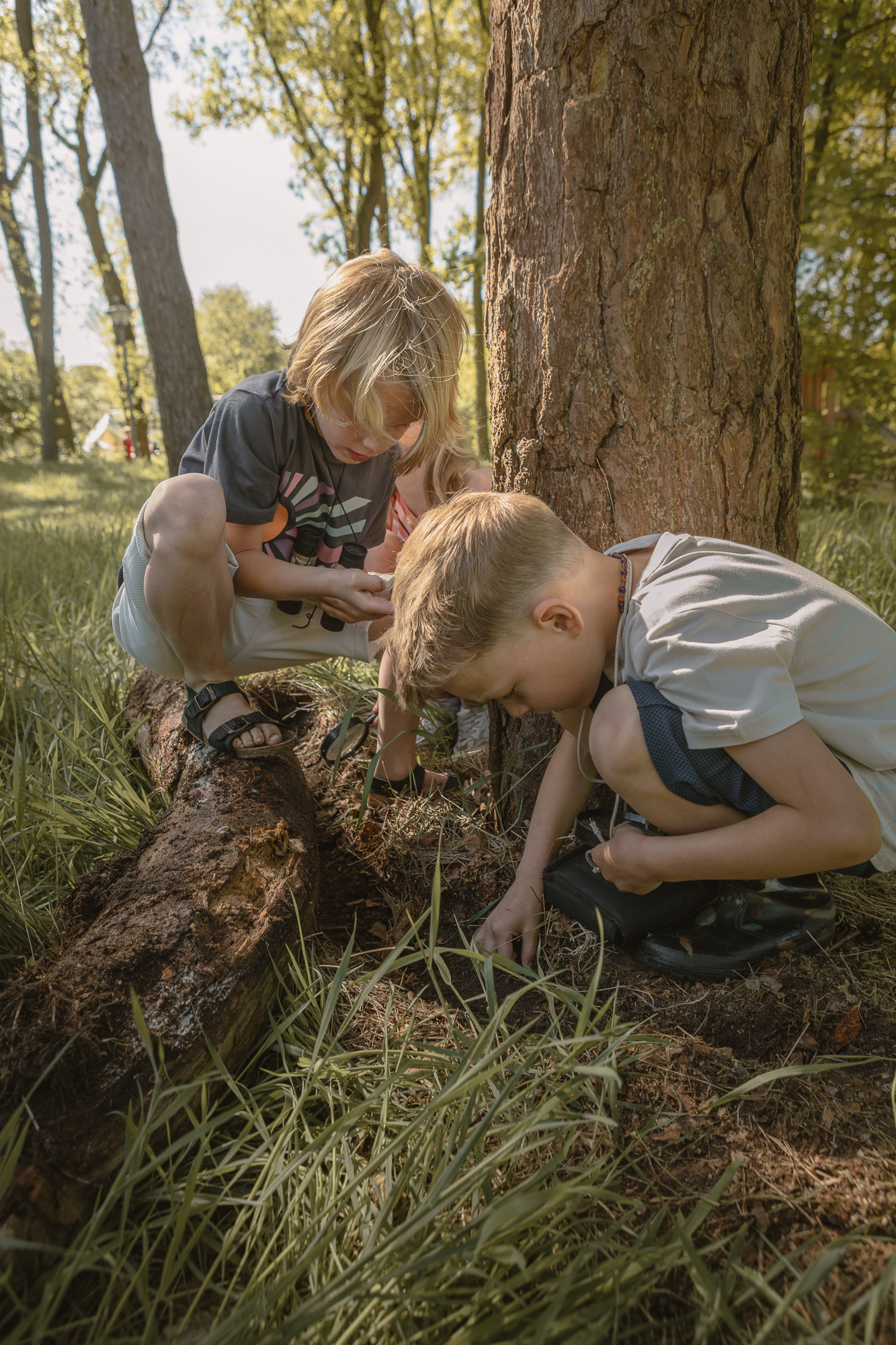 Twee jongens speuren in het speelbos van Lemeler Esch
