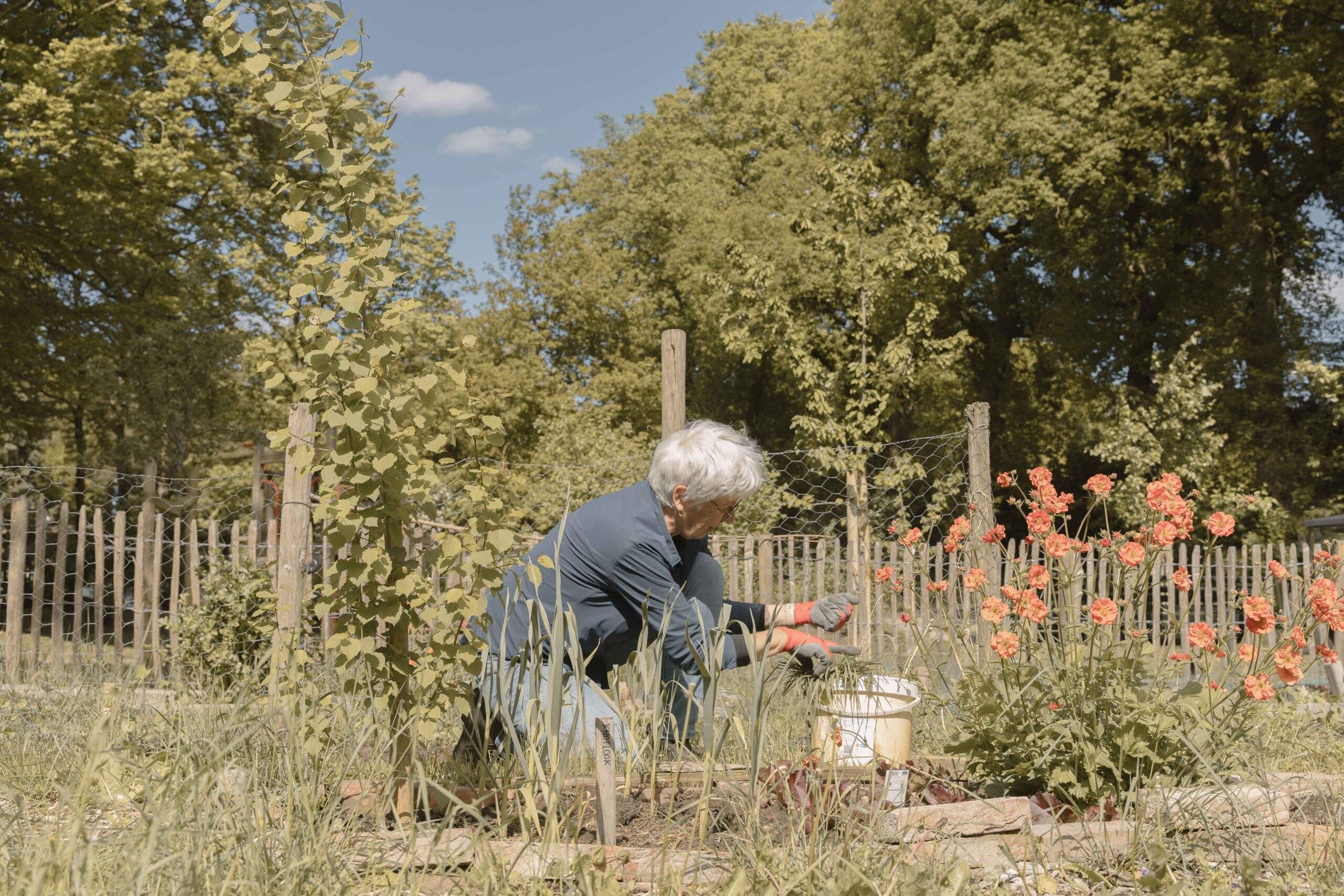 Wilma in de moestuin van Boscafé Lemeler Esch