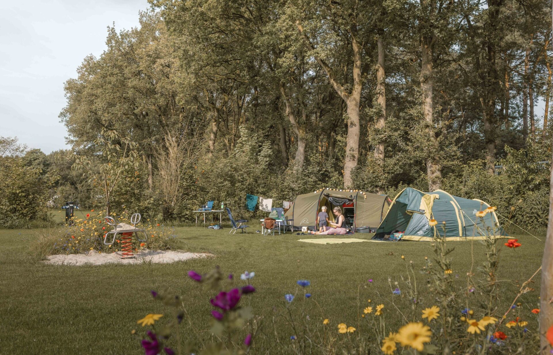 Wipkip op kampeerveld Boomgaard bij Lemeler Esch natuurcamping in Overijssel