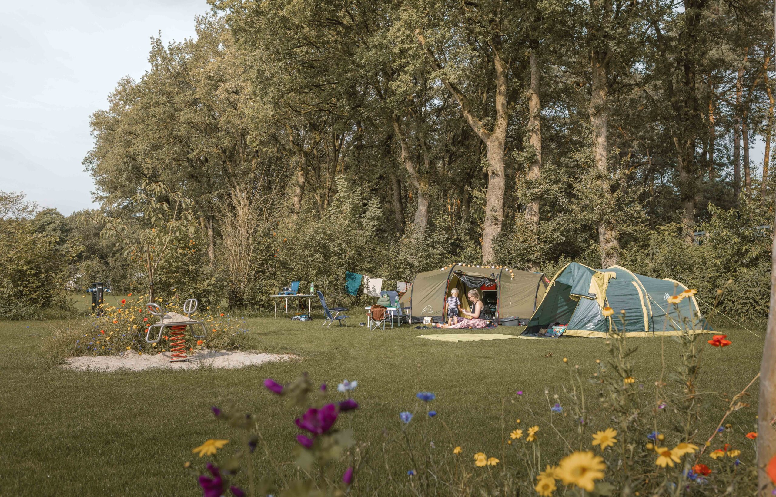 Wipkip op kampeerveld Boomgaard bij Lemeler Esch natuurcamping in Overijssel