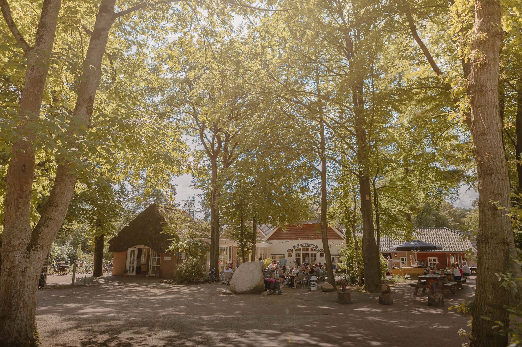 Terras van het Boscafé Lemeler Esch in de zomer