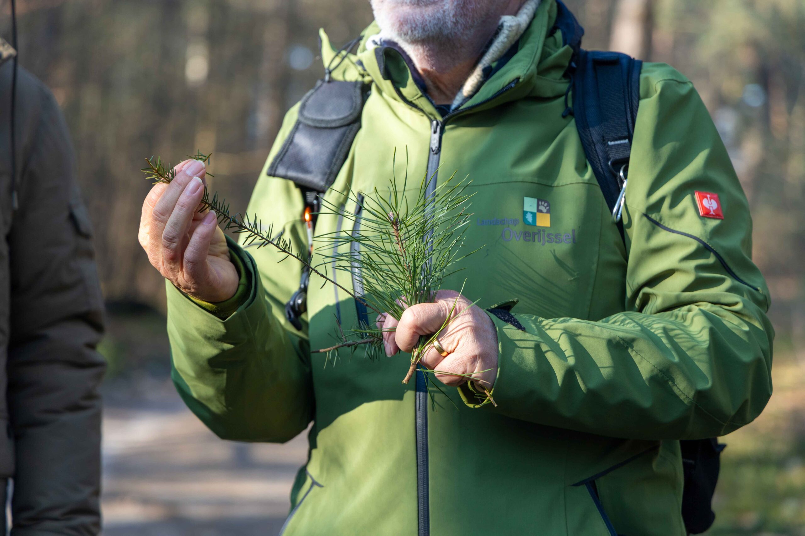 Gids Gé van Landschap Overijssel vertelt over natuurgebied Lemelerberg