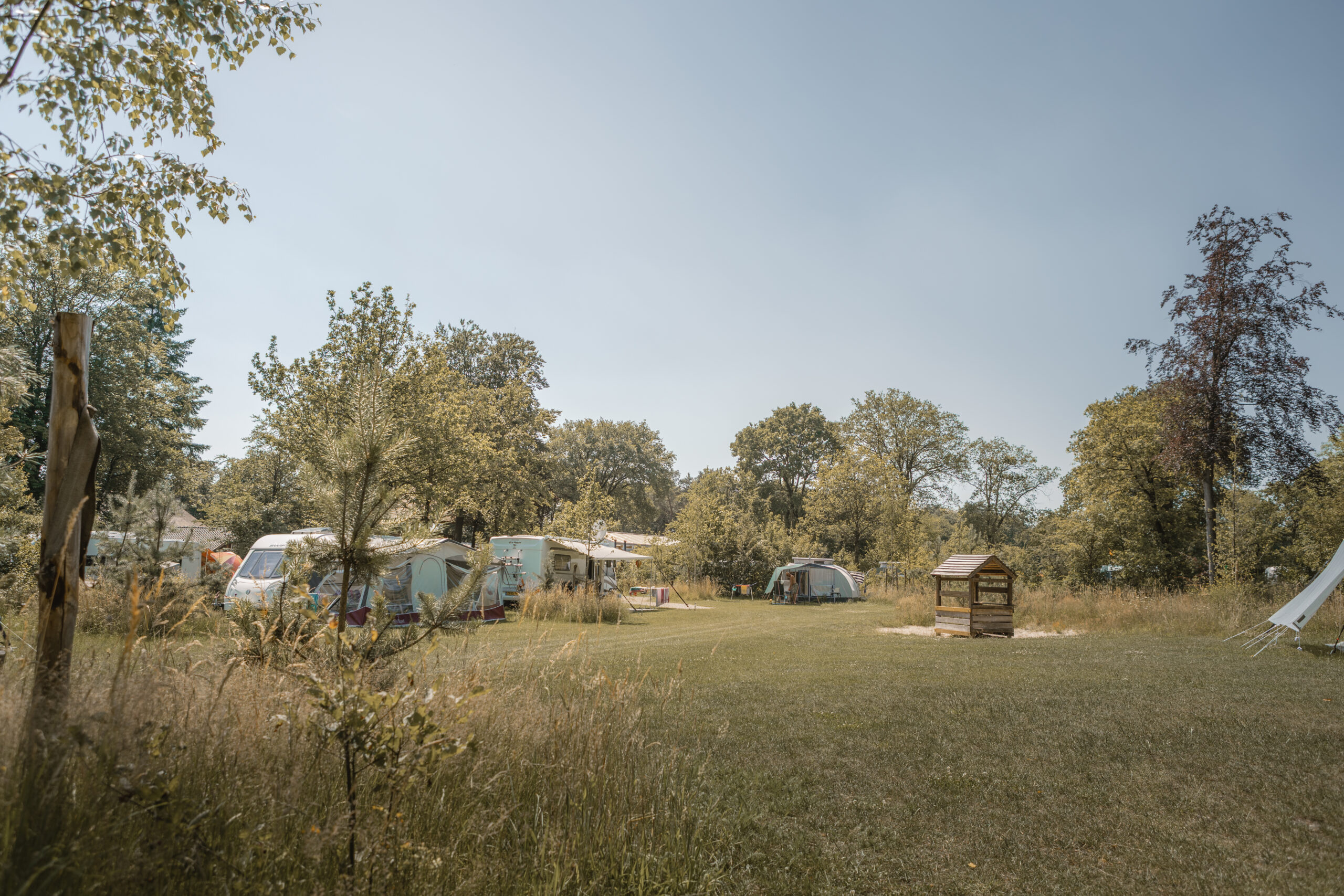 Kamperen op de Archemerheide bij natuurcamping Lemeler Esch 