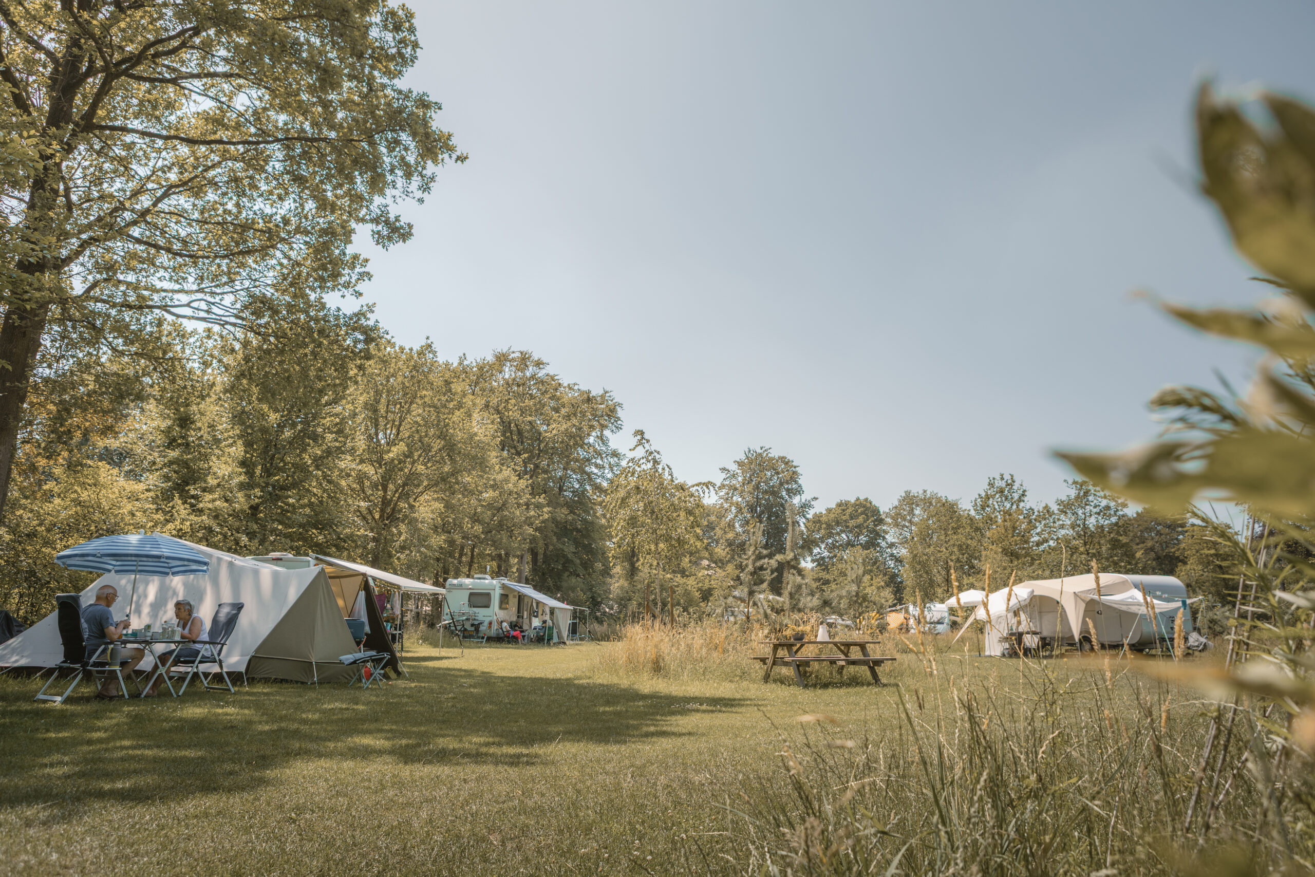 Kamperen op de Archemerheide bij natuurcamping Lemeler Esch 