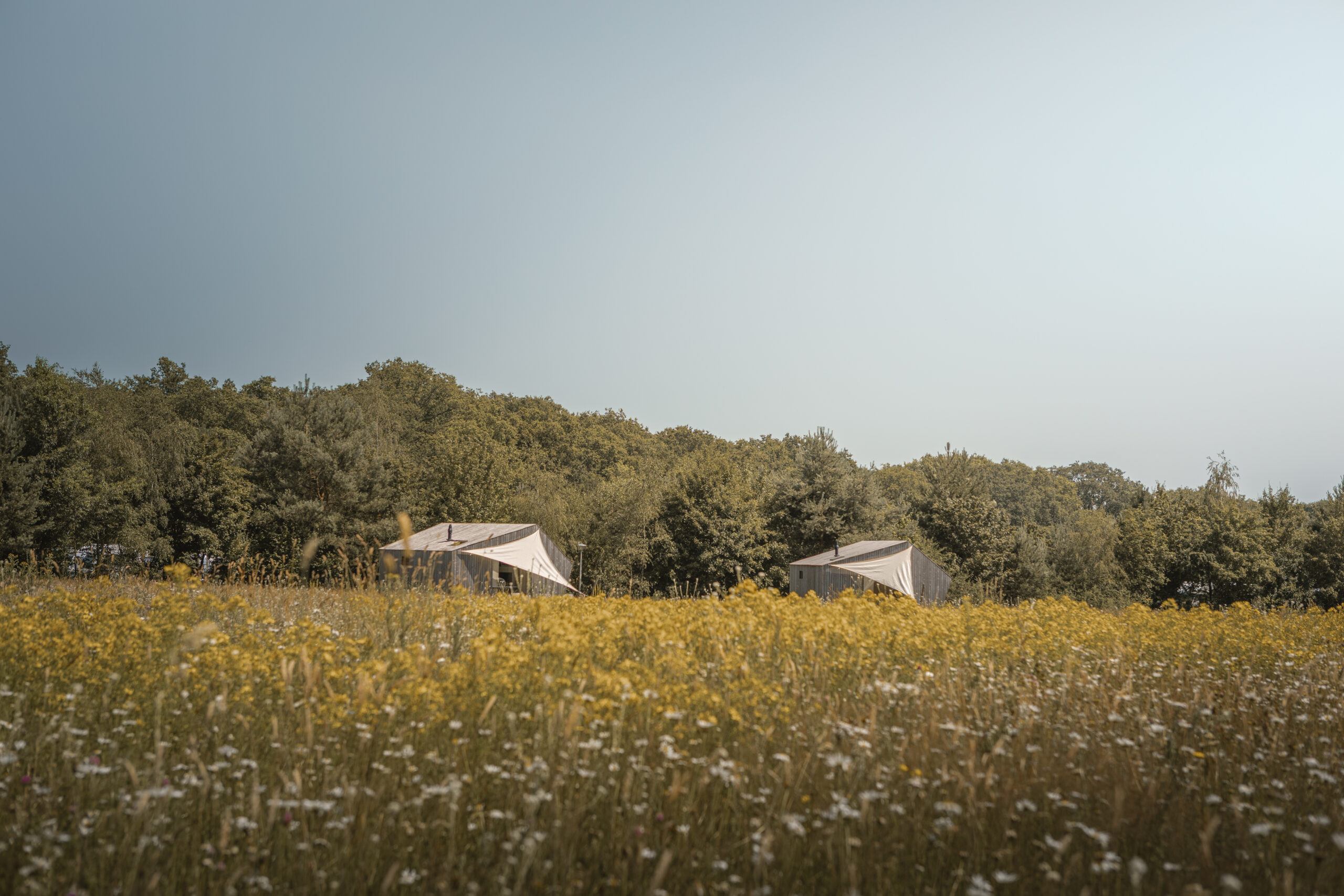 Trek-In natuurhuisje bij natuurcamping Lemeler Esch in Overijssel