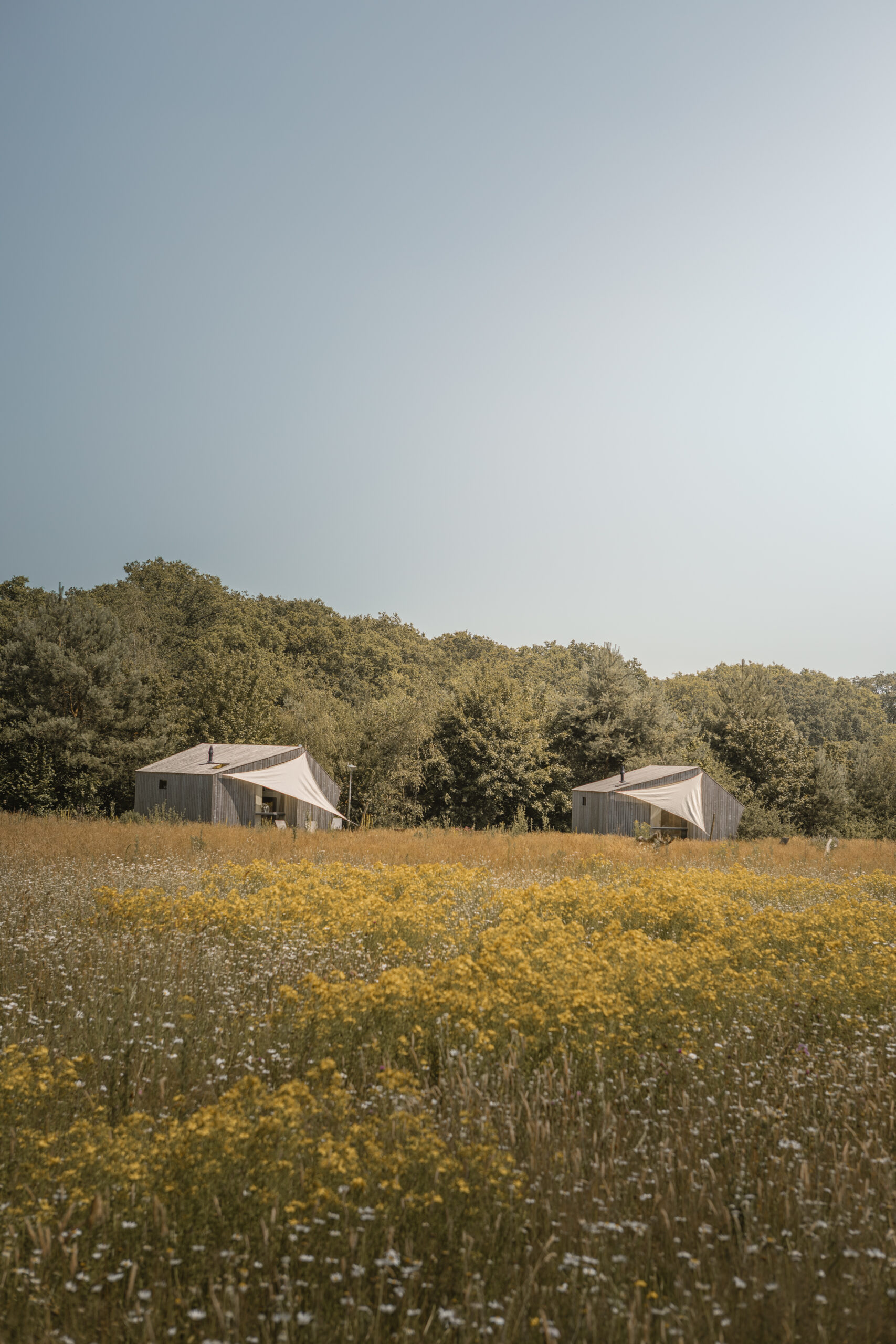 Trek-In natuurhuisje bij natuurcamping Lemeler Esch in Overijssel