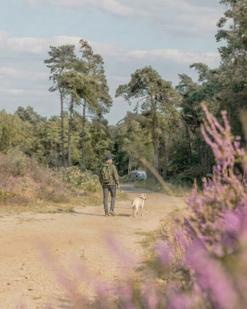 Testphase im Jahr 2027: Archemerheide mit Hund